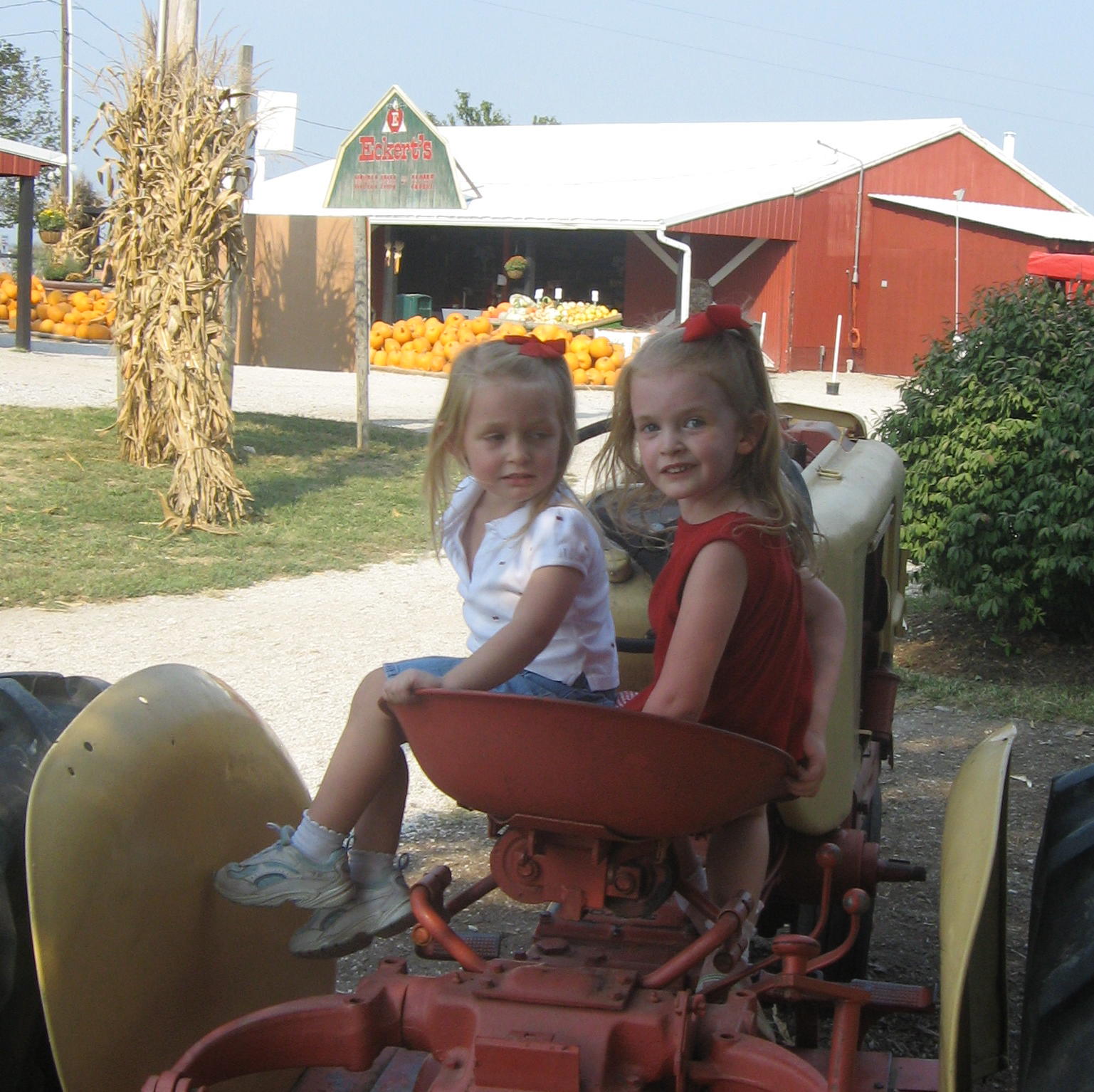 2007_09_20 Cate and Jane Farm Living.jpg